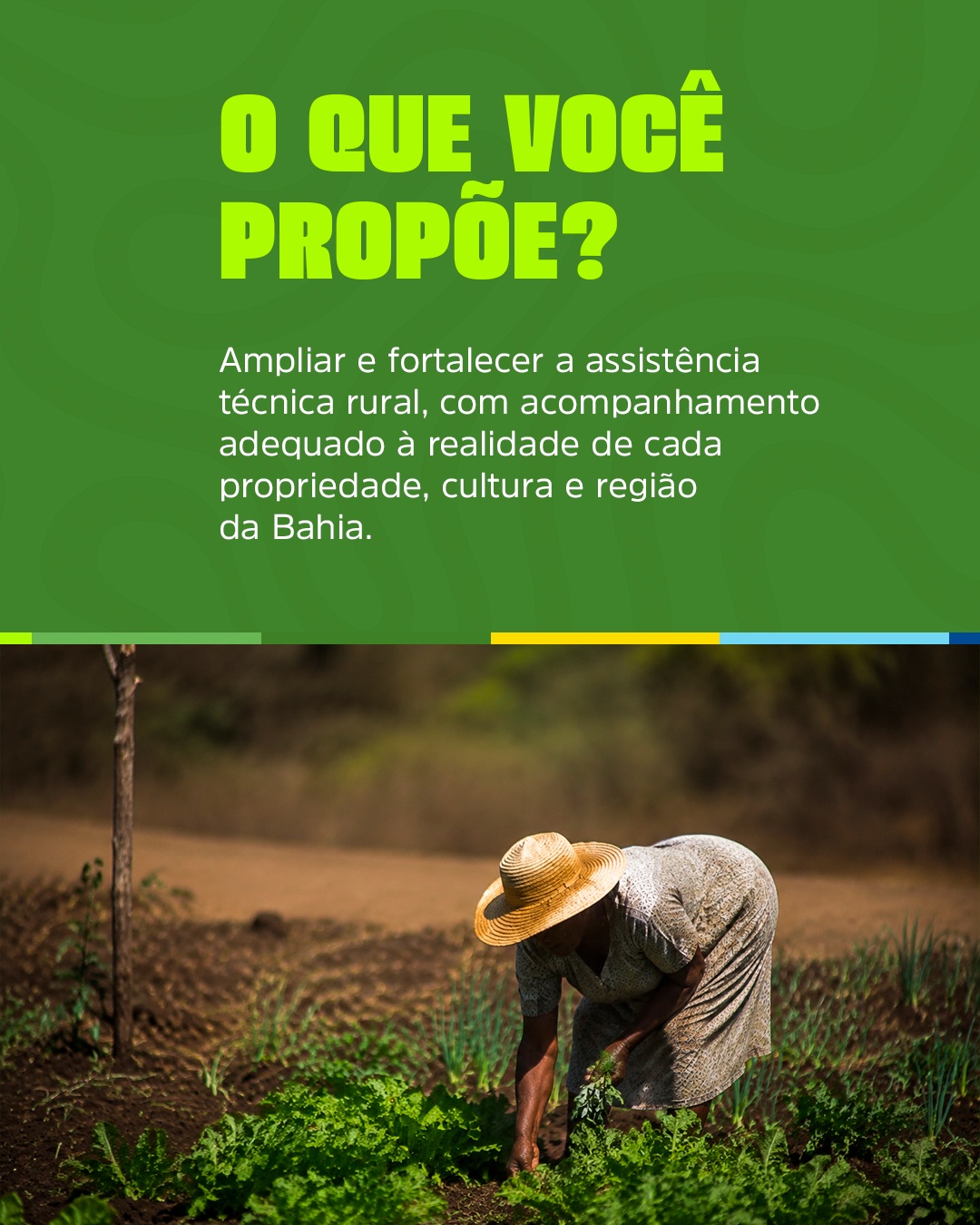 Ampliar e fortalecer a assistência técnica rural
