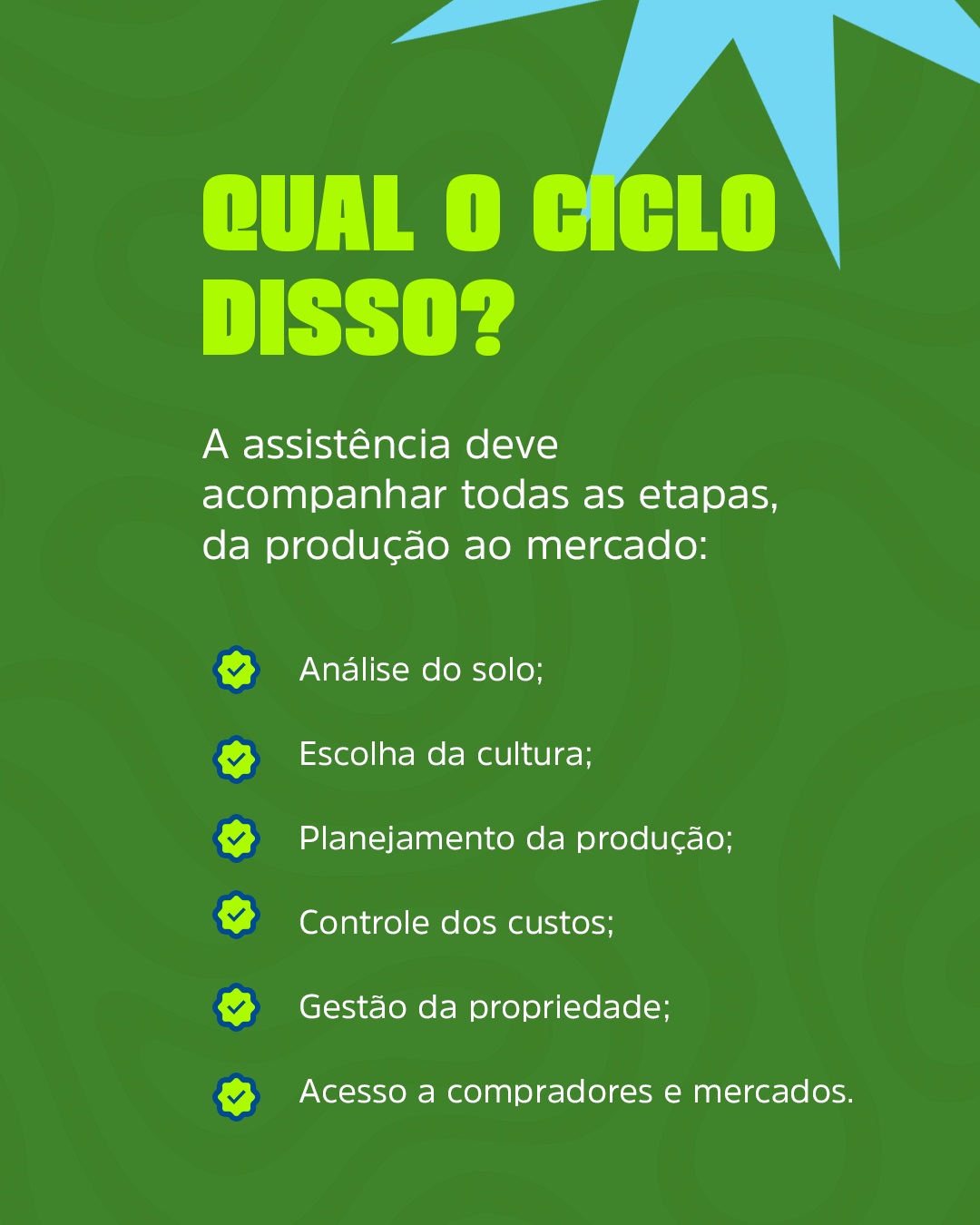 Assistência em todas as etapas