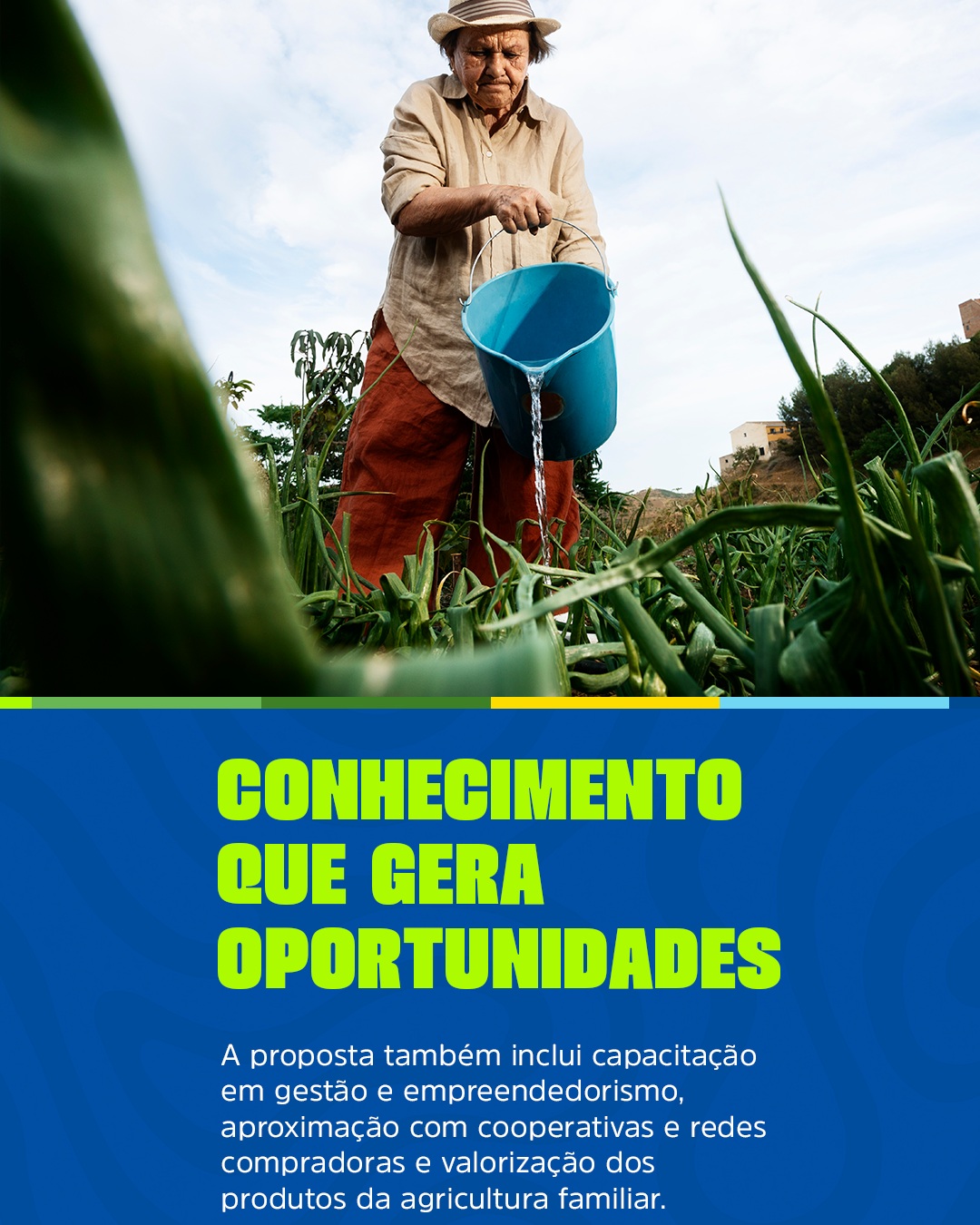 Conhecimento que gera oportunidades