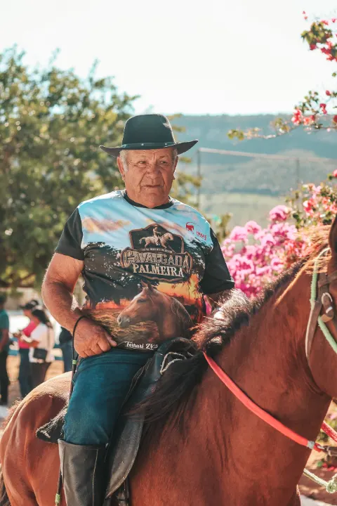 Cavalgada da palmeira — foto 1
