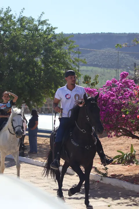 Cavalgada da palmeira — foto 4