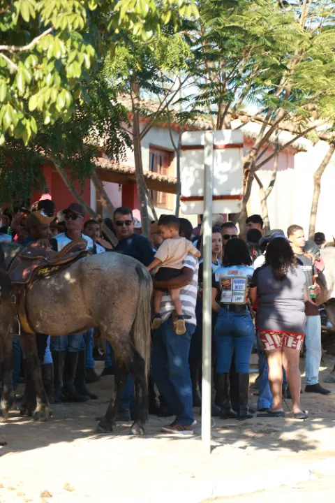 Cavalgada da palmeira — foto 31