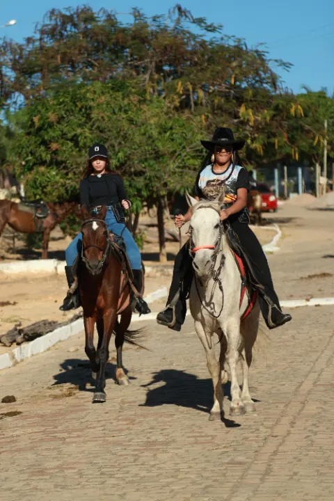 Cavalgada da palmeira — foto 33