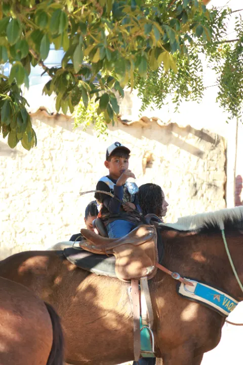Cavalgada da palmeira — foto 40