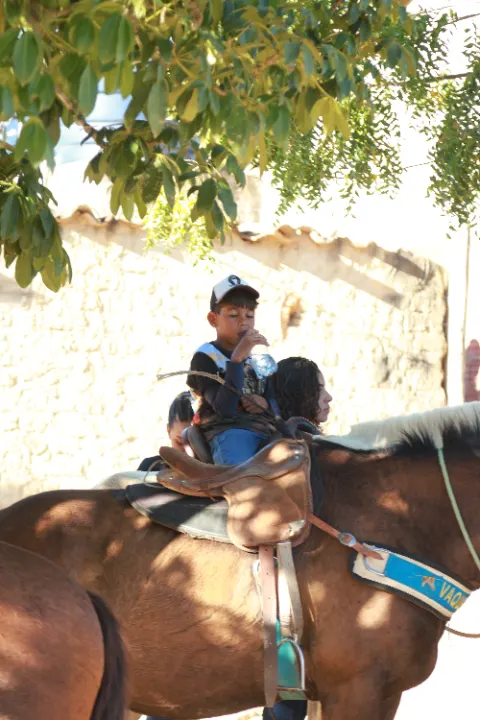 Cavalgada da palmeira — foto 41