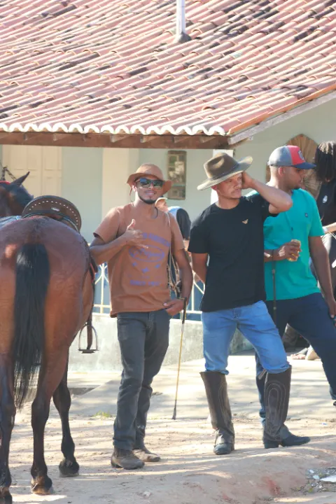 Cavalgada da palmeira — foto 42