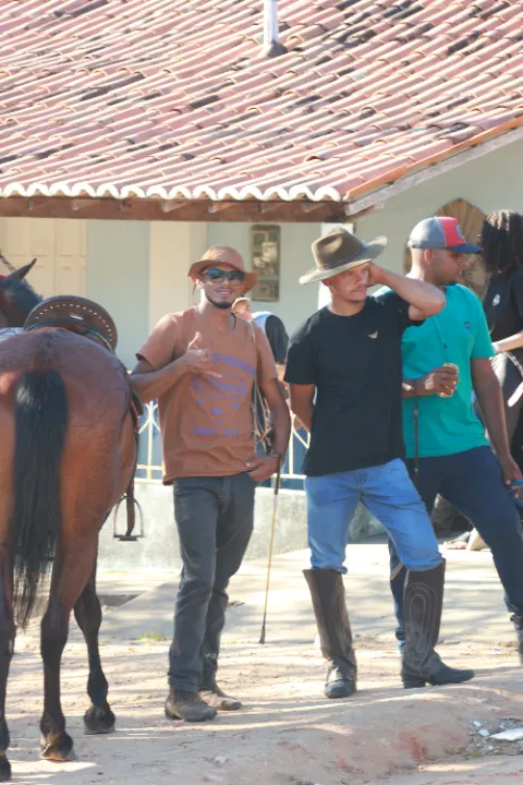 Cavalgada da palmeira — foto 43